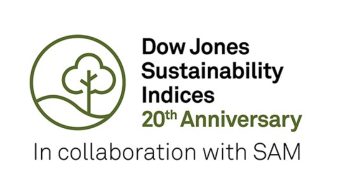 Dow Jones Sustainability Index (DJSI) 2020 Dow Jones Sustainability Index (DJSI) 2020