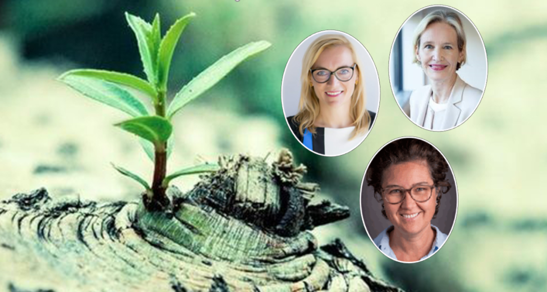 Webinar - Success through Resilience and Adaptability: The Human Aspects of the Next Normal